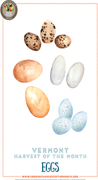Eggs